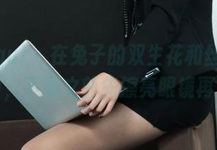 丽柜ligui – 在兔子的双生花和丝饺作品集中，下载之前先擦亮眼镜再说。