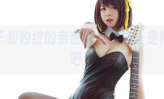 半半子和豹纹的亲密关系，估计是种情感吧。